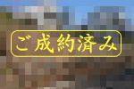 ご成約|宇佐美みのりの村・売り土地