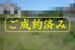 ご成約|宇佐美みのりの村・平坦売り土地 宇佐美みのりの村・平坦売り土地