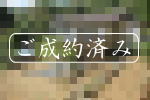 ご成約|宇佐美みのりの村・古家平家建