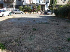 �ɓ��s�F�����E����y�n�b�����֗�