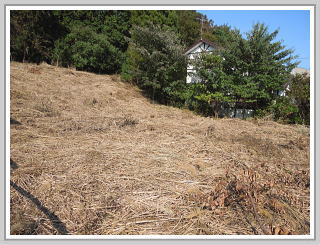 �ɓ��s�F�����E�y�n�b�V�����ʑ��n