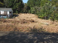 伊東市宇佐美・天乙平|平坦部分と緩傾斜地