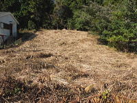 伊東市宇佐美・天乙平|陽当り良好な土地です