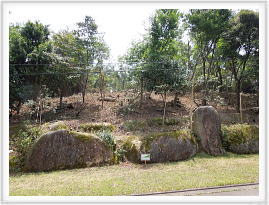 宇佐美みのりの村 温泉権付売り土地|陽当りの良い緩傾斜地
