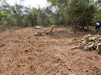 �F�����݂̂�̑� ���򌠕t����y�n�b�؁X���Ԉ������Ă��܂�