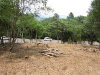 �F�����݂̂�̑� ���򌠕t����y�n�b�~�n����͑O�ʓ��H�������낷�����ł�