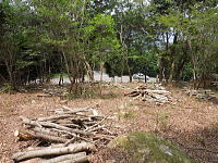 �F�����݂̂�̑� ���򌠕t����y�n�b�z����ǍD�ł�