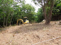 �F�����݂̂�̑� ���򌠕t����y�n�b���ӂ͎��R���c����ł�