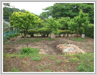 �ɓ��s���c �s���Y�b����y�n