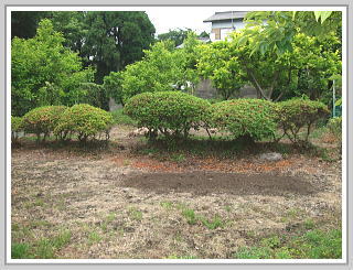 �ɓ��s���c �s���Y�b����y�n