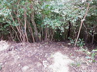 宇佐美みのりの村・売り土地