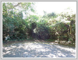 �F�����݂̂�̑��E����y�n