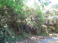 宇佐美みのりの村・売り土地|東側道路から