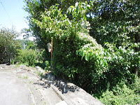 宇佐美みのりの村・売り土地|西側道路からは下り傾斜です