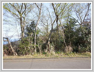 �F�����݂̂�̑��E����y�n�b�z����ǍD