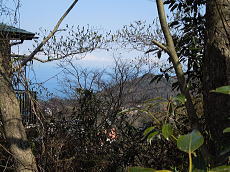 宇佐美みのりの村・売り土地|海眺望