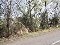 宇佐美みのりの村・売り土地|道路から下り傾斜地