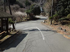 宇佐美みのりの村・売り土地|東側道路