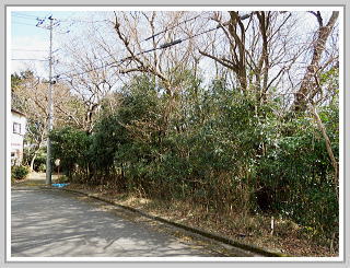 �F�����݂̂�̑��E����y�n�b�O��