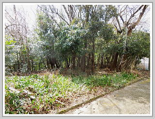 �F�����݂̂�̑��E����y�n�b����