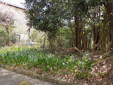 宇佐美みのりの村・売り土地|少しの段差で敷地へ