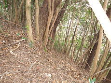 宇佐美みのりの村・売り土地|下り傾斜部分