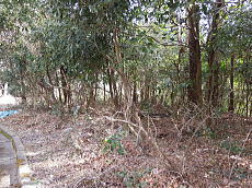 宇佐美みのりの村・売り土地|外観