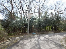 宇佐美みのりの村・売り土地|角地