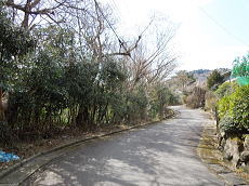 宇佐美みのりの村・売り土地|前面道路