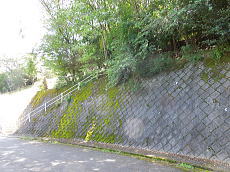 宇佐美みのりの村・売り土地|温泉権付き 外観