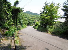 宇佐美みのりの村・売り土地|温泉権付き 前面道路