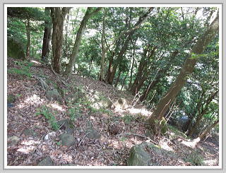 �F�����݂̂�̑��E����y�n�b�X�Ε���