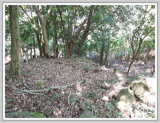 �F�����݂̂�̑��E����y�n�b�ɂ₩�ȌX�Ε���