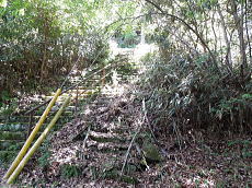 宇佐美みのりの村・売り土地|道路