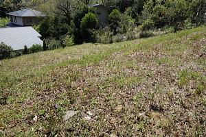宇佐美みのりの村・売り土地|緩傾斜地