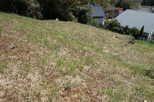 宇佐美みのりの村・売り土地|東南向きで陽当り良好