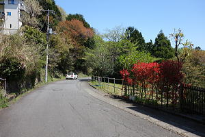宇佐美みのりの村・売り土地|幅6mの前面道路