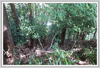 �F�����݂̂�̑��E����y�n