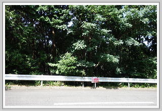 �F�����݂̂�̑��E����y�n