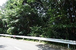 宇佐美みのりの村・売り土地|外観 宇佐美みのりの村・売り土地