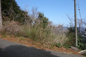 宇佐美みのりの村・売り土地|道路から下り傾斜地です 宇佐美みのりの村・売り土地