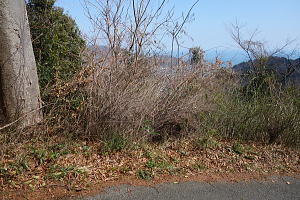 宇佐美みのりの村・売り土地|海が望めます 宇佐美みのりの村・売り土地