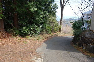 宇佐美みのりの村・売り土地|前面道路 宇佐美みのりの村・売り土地