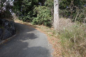 宇佐美みのりの村・売り土地|前面道路 宇佐美みのりの村・売り土地