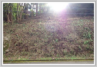 �F�����݂̂�̑��E����y�n�i���ؔ��̍ς݁j�b���X�Βn