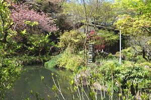宇佐美みのりの村・売り土地(立木伐採済み)|公園の池 宇佐美みのりの村・売り土地(立木伐採済み)|公園の池