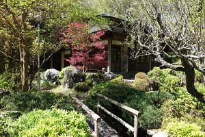 宇佐美みのりの村・売り土地(立木伐採済み)|公園の東屋 宇佐美みのりの村・売り土地(立木伐採済み)|公園の東屋