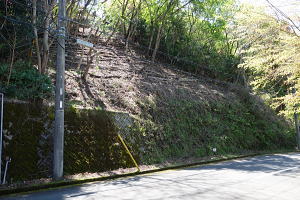 宇佐美みのりの村・売り土地(立木伐採済み)|上りの傾斜地 宇佐美みのりの村・売り土地(立木伐採済み)|上りの傾斜地