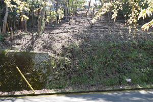 宇佐美みのりの村・売り土地(立木伐採済み)|自然も残る環境地 宇佐美みのりの村・売り土地(立木伐採済み)|自然も残る環境地