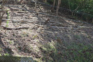 宇佐美みのりの村・売り土地|立木伐採済み 宇佐美みのりの村・売り土地|立木伐採済み